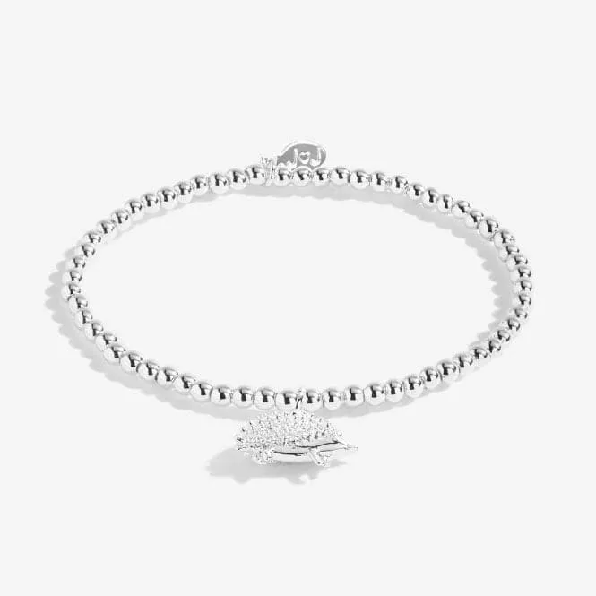 A Little Happy Hedgehog Silver 15.5cm Stretch Bracelet C553