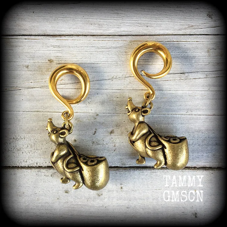 Brass money rat ear weights-Unique gauged earrings