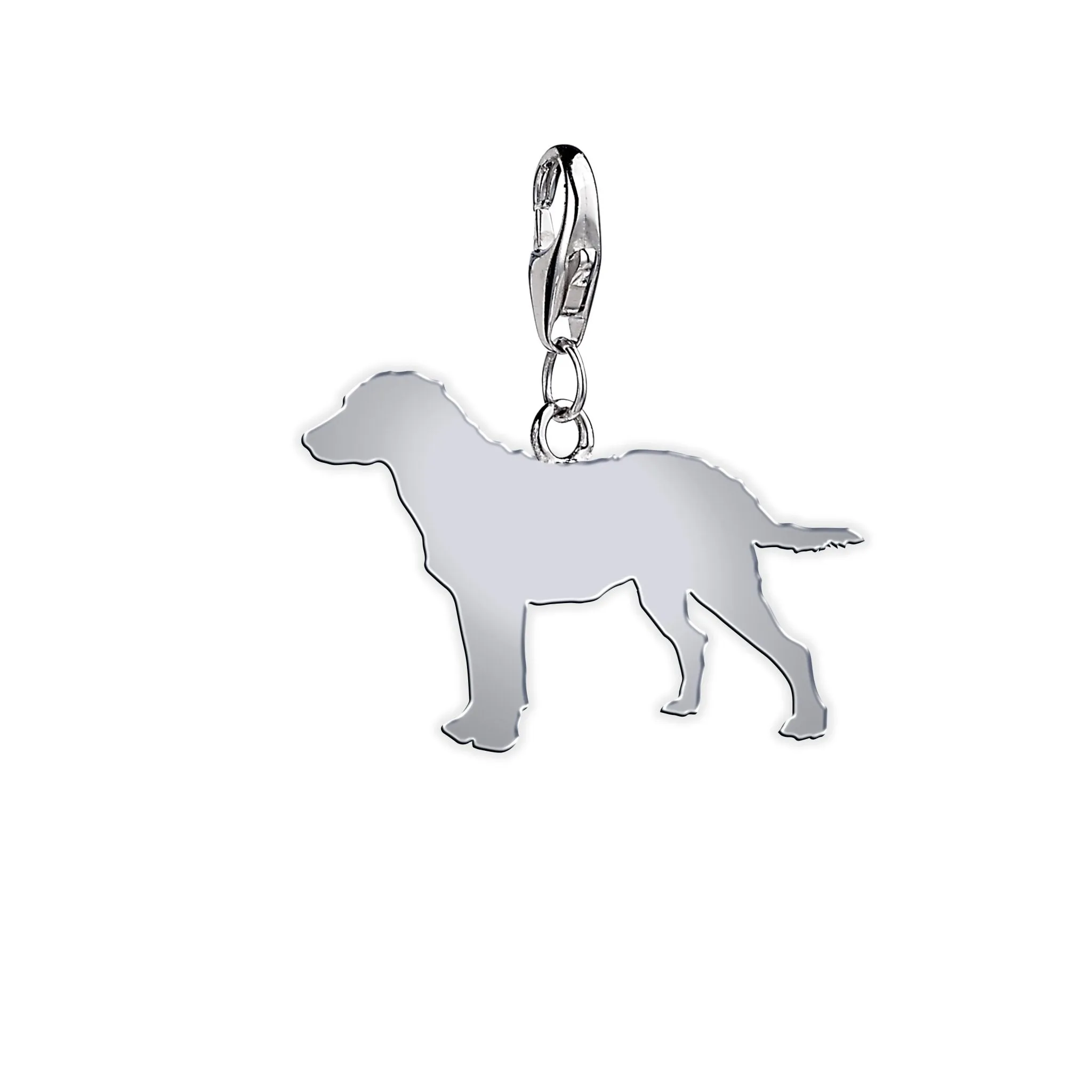 Chesapeake Bay Retriever Silhouette Silver Charm