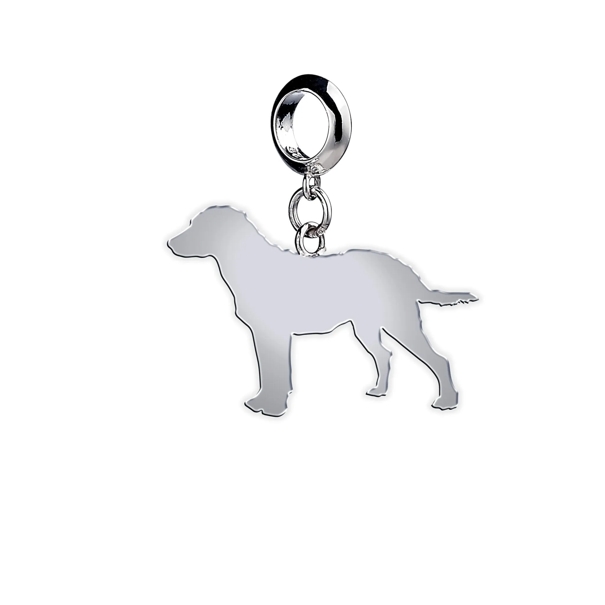 Chesapeake Bay Retriever Silhouette Silver Charm