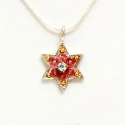 Shiny Star of David Necklace - Small