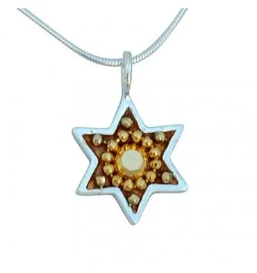 Shiny Star of David Necklace - Small