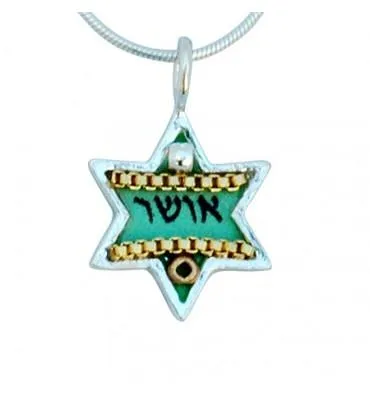 Shiny Star of David Necklace - Small