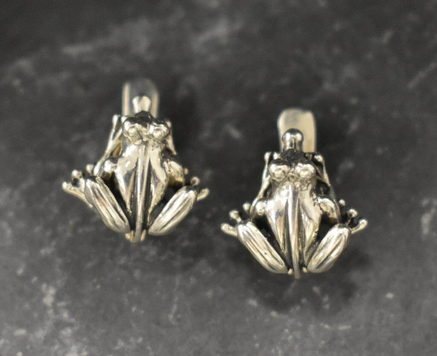 Silver Frog Earrings - Cute Amphibian Earrings - Unique Animal Earrings